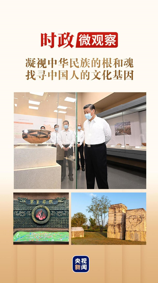 从哪里来1.png
